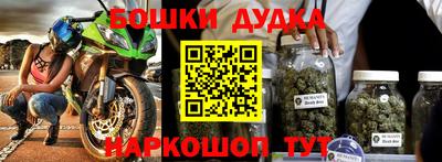 прущие грибы Пушкино