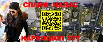 прущие грибы Пушкино